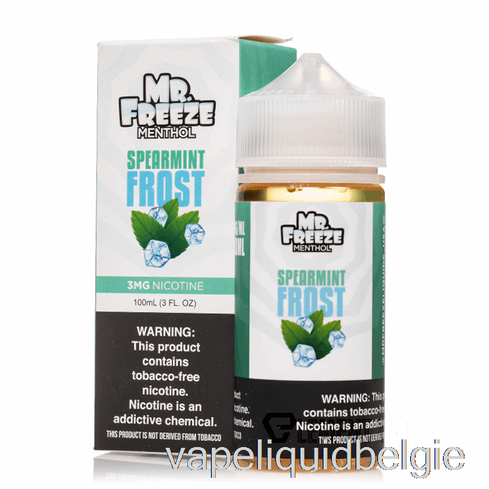 Vape Vloeibare Groene Muntvorst - Mr Freeze - 100 Ml 0 Mg